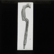 Böhl glass slide 61.3/1856